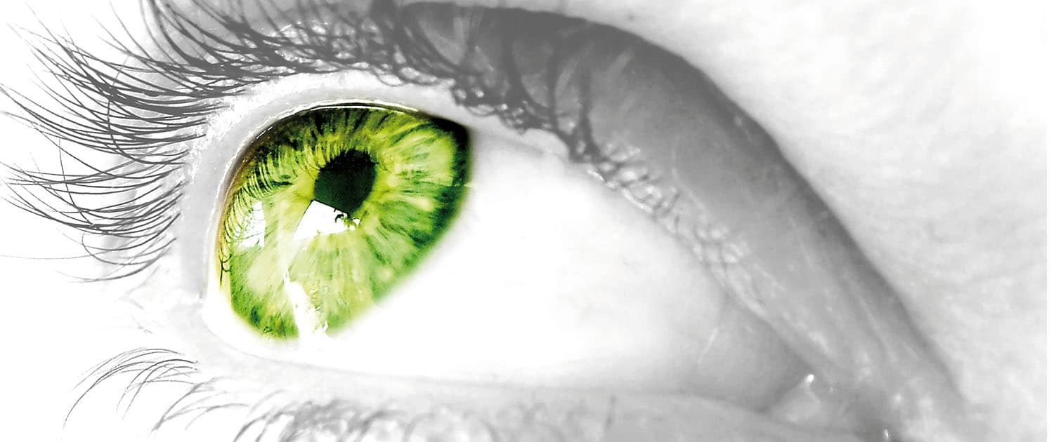 Ophthalmologie | BergApotheke